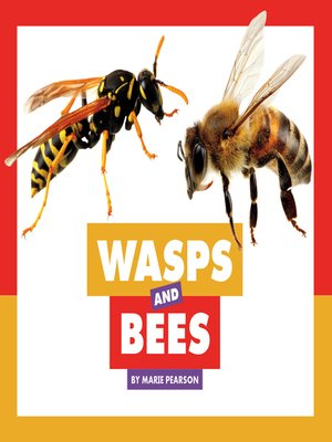 cover image of Wasps and Bees